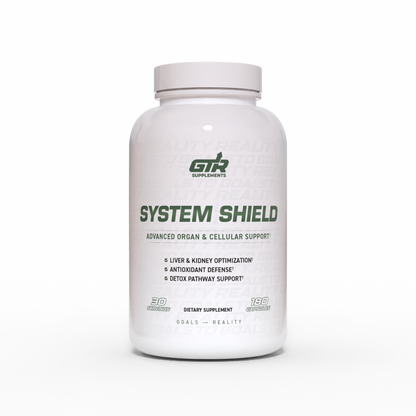 System Shield